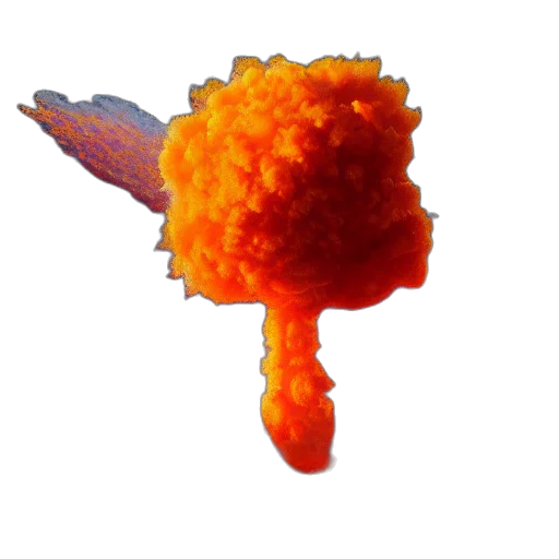 food, flower, staff, weapon transparent PNG cut-out