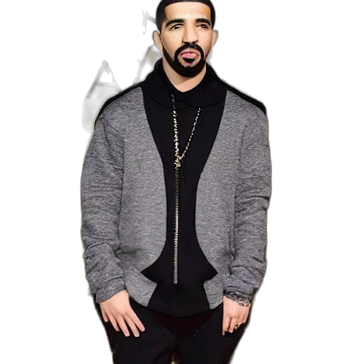 jacket, dragon, animal, creature transparent PNG cut-out