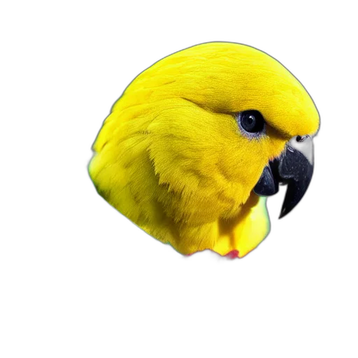animal, creature, face, mask transparent PNG cut-out