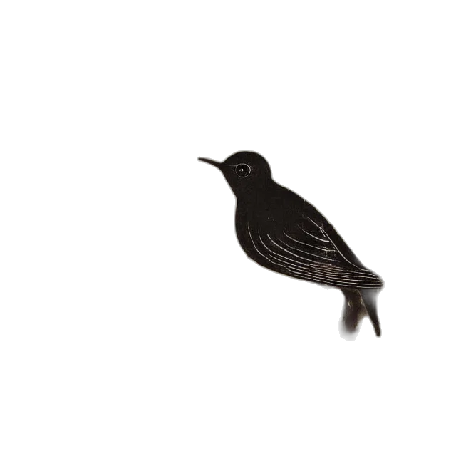 animal, staff, creature, hair transparent PNG cut-out