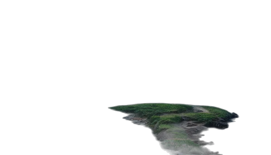 tree, hair, sword, car transparent PNG cut-out