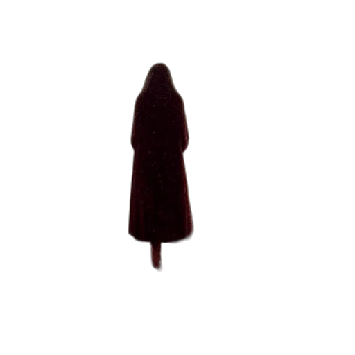 dress, staff, umbrella, jacket transparent PNG cut-out