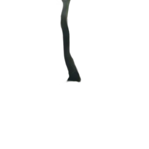 staff, weapon, sword, umbrella transparent PNG cut-out