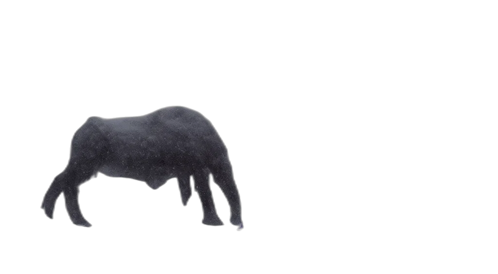 animal, creature, furniture, hat transparent PNG cut-out