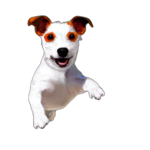 animal, staff, creature, face transparent PNG cut-out