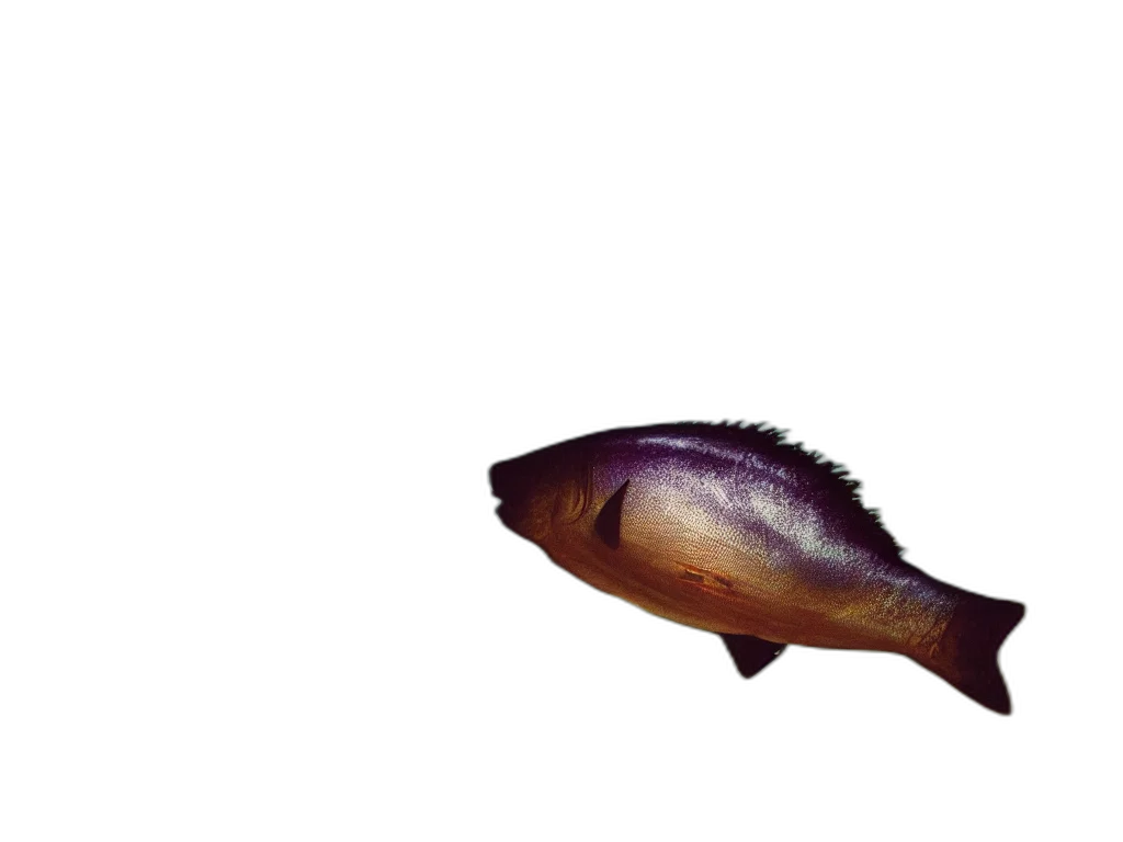 animal, creature, staff, crown transparent PNG cut-out