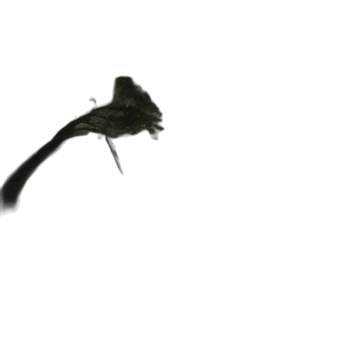 dragon, animal, staff, creature transparent PNG cut-out