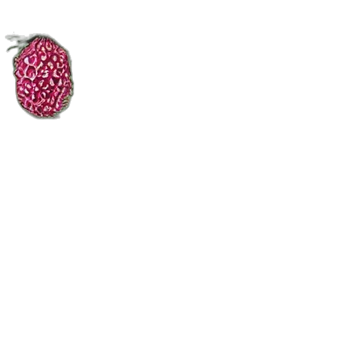 jewelry, crown, flower, food transparent PNG cut-out