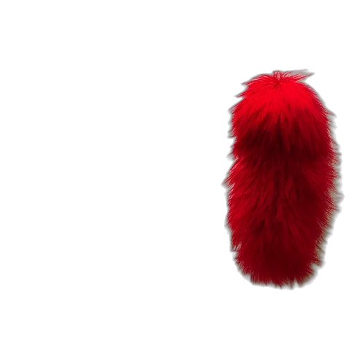 hair, hat, animal, creature transparent PNG cut-out