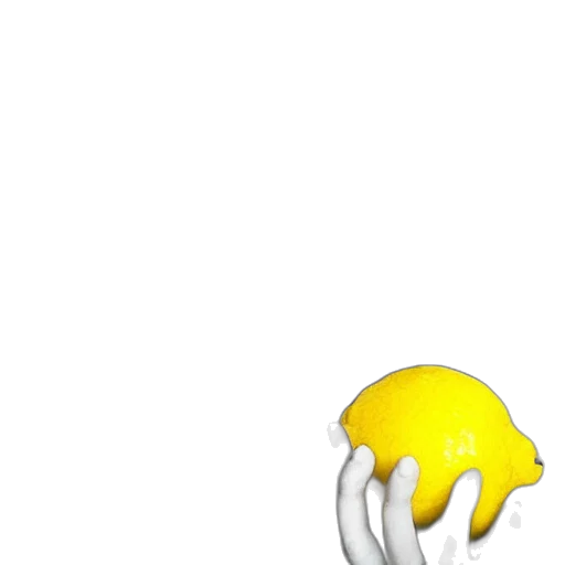 hat, animal, creature, umbrella transparent PNG cut-out