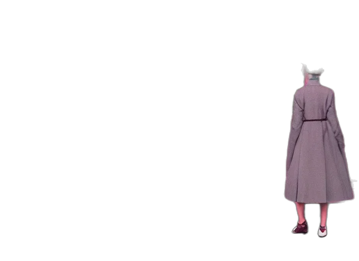 dress, jacket, creature, shoes transparent PNG cut-out
