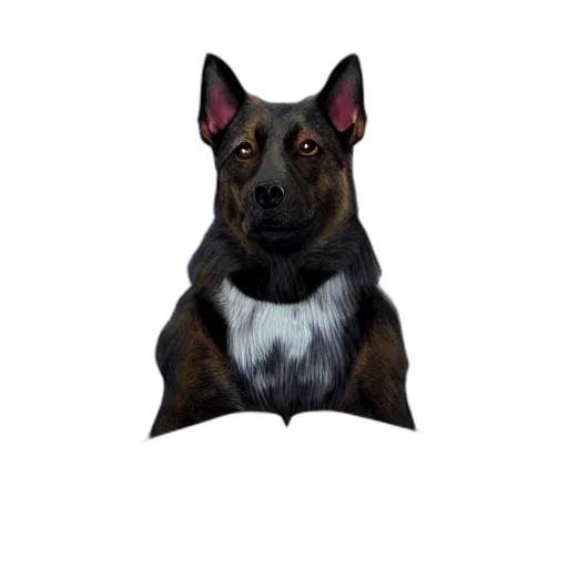 animal, staff, creature, face transparent PNG cut-out