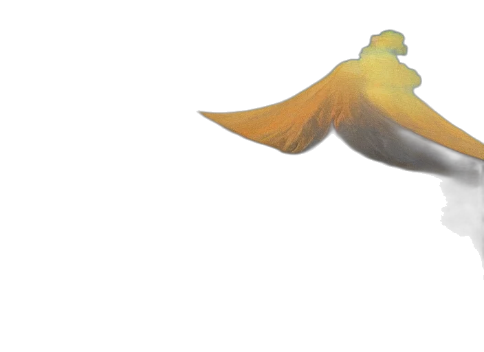 dragon, weapon, hat, animal transparent PNG cut-out