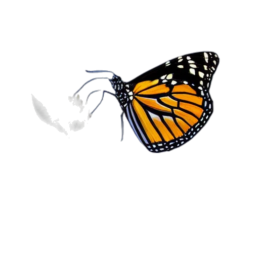 animal, creature, crown, jewelry transparent PNG cut-out
