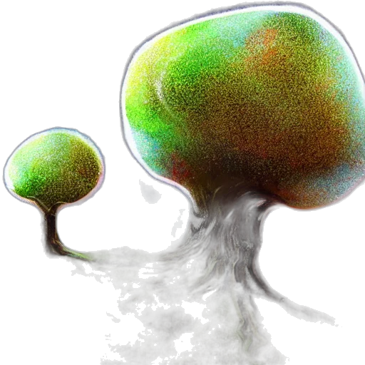 crown, tree, hat, hair transparent PNG cut-out