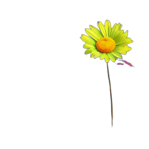 flower, staff, weapon, crown transparent PNG cut-out