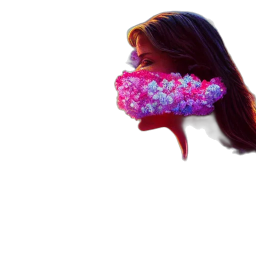 hair, flower, mask, crown transparent PNG cut-out