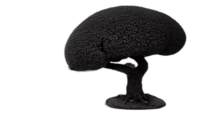 hat, crown, hair, tree transparent PNG cut-out