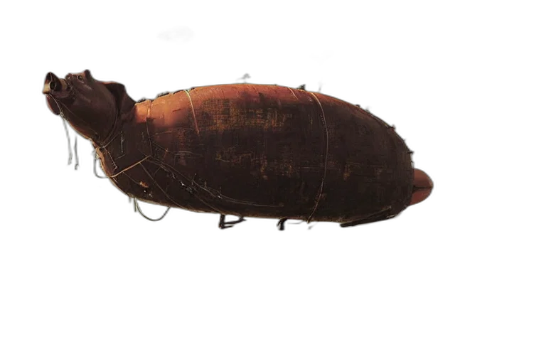 animal, weapon, shoes, food transparent PNG cut-out