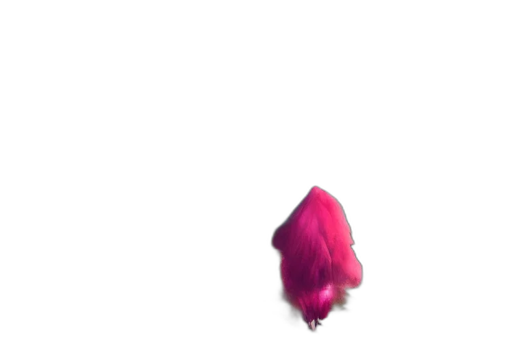 hair, flower, face, creature transparent PNG cut-out