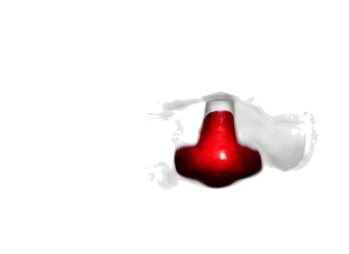 bottle, weapon, flower, umbrella transparent PNG cut-out