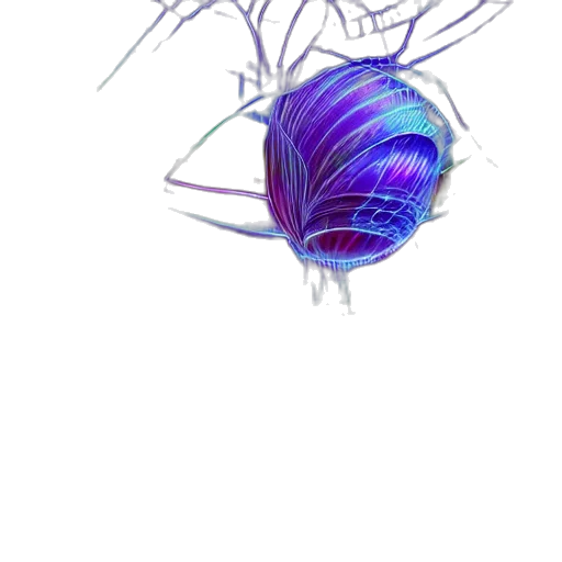 flower, hair, crown, creature transparent PNG cut-out