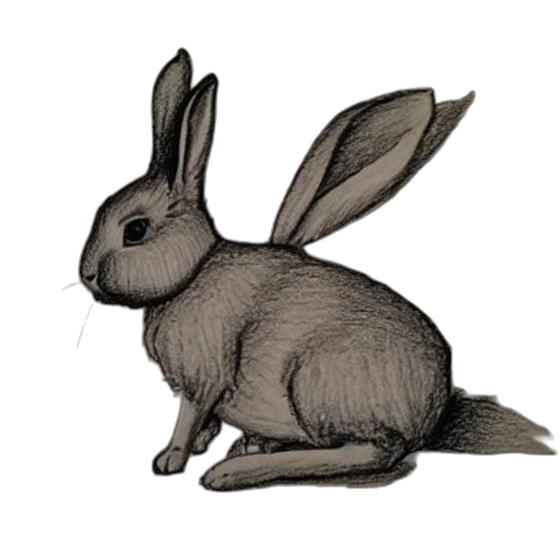 animal, creature, staff, pencil sketch transparent PNG cut-out
