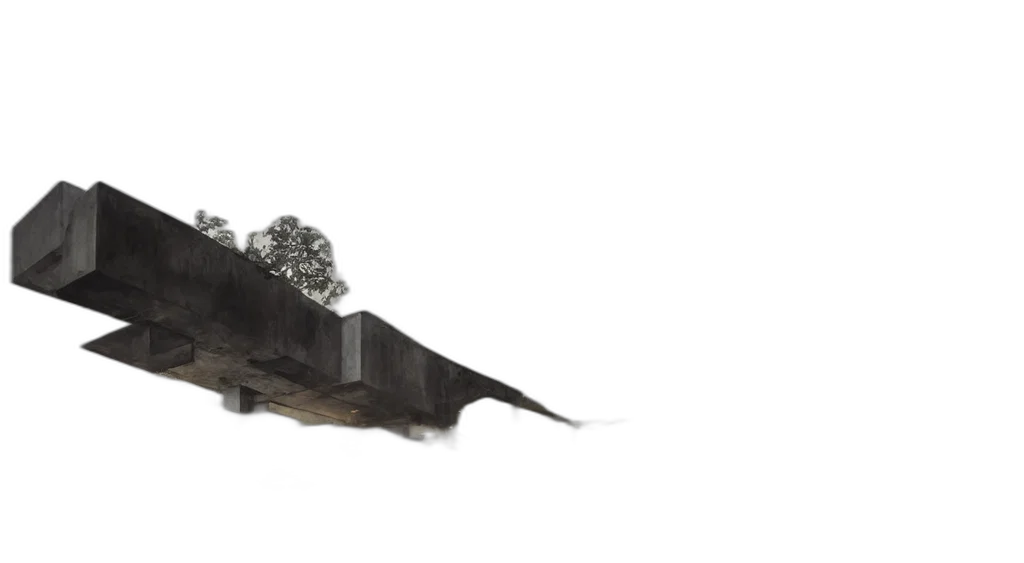 animal, dragon, shoes, crown transparent PNG cut-out