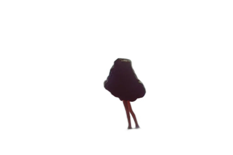 dress, umbrella, hair, jacket transparent PNG cut-out