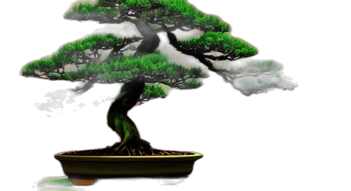 tree, crown, 3d render, concept art transparent PNG cut-out