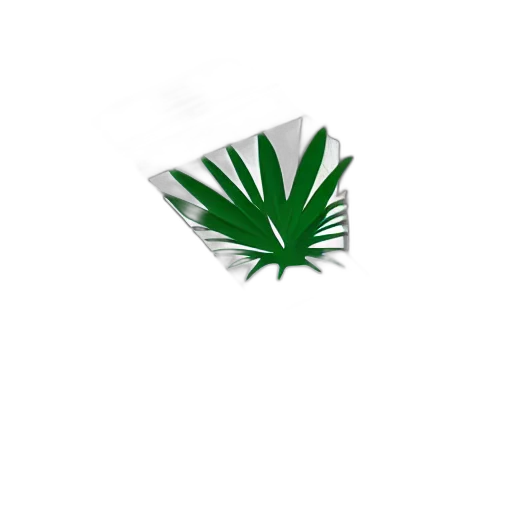 flower, weapon, crown, umbrella transparent PNG cut-out