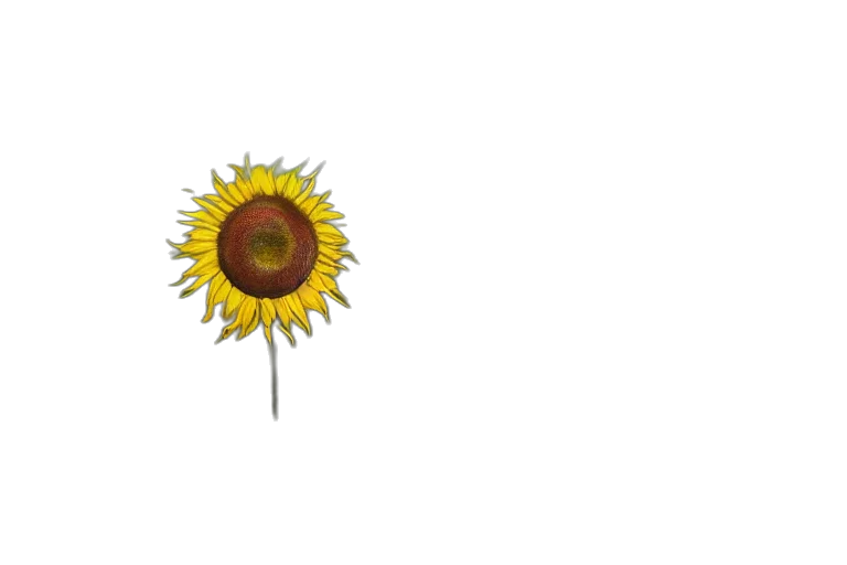 flower, crown, staff, umbrella transparent PNG cut-out