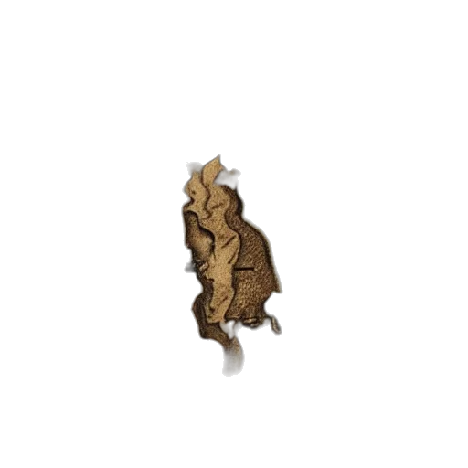 jewelry, dragon, crown, hair transparent PNG cut-out