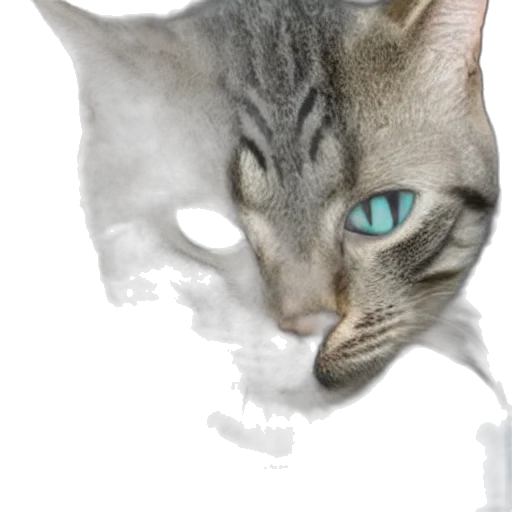 animal, face, creature, staff transparent PNG cut-out