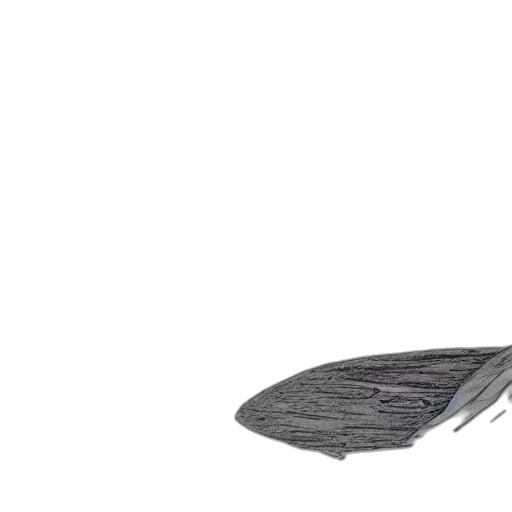 shoes, sword, umbrella, weapon transparent PNG cut-out