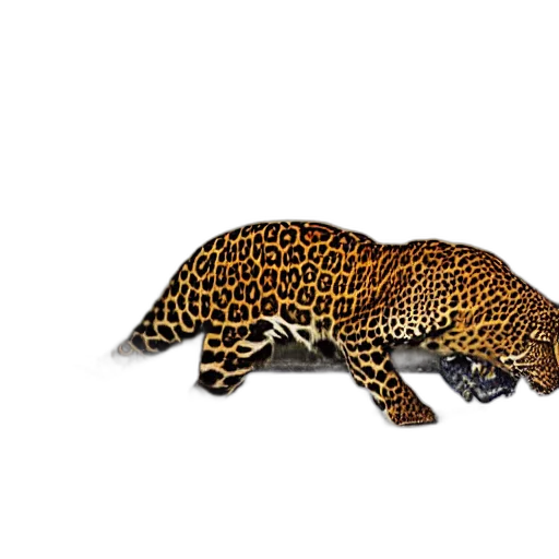 animal, creature, staff, jewelry transparent PNG cut-out
