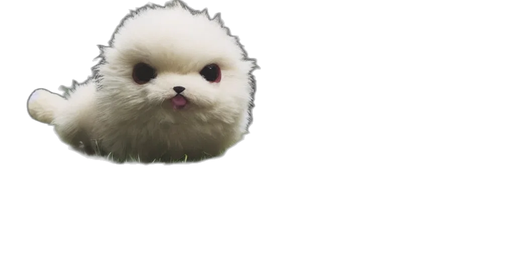 creature, animal, face, hair transparent PNG cut-out