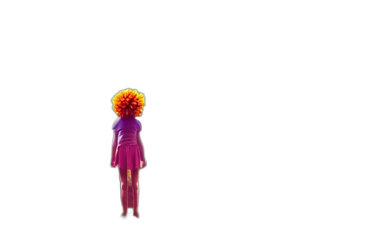 flower, hair, crown, dress transparent PNG cut-out