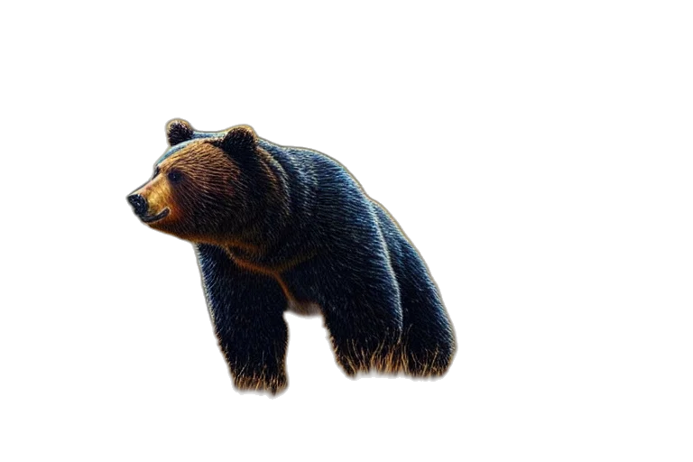animal, creature, hair, staff transparent PNG cut-out