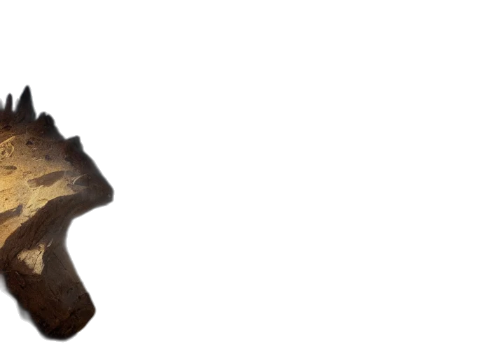 staff, mask, animal, hat transparent PNG cut-out