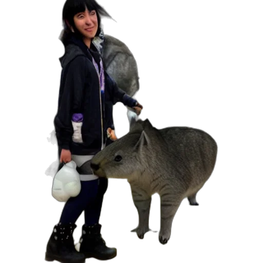 animal, staff, creature, jacket transparent PNG cut-out