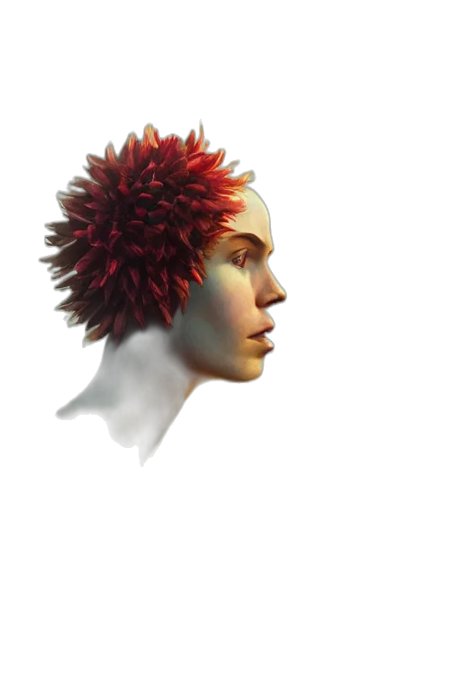 crown, hair, face, hat transparent PNG cut-out