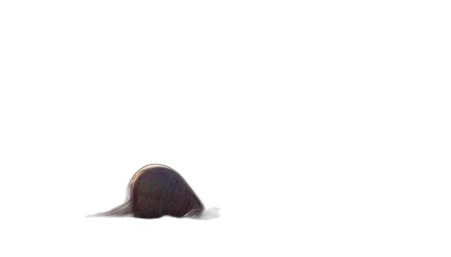 hair, hat, animal, creature transparent PNG cut-out