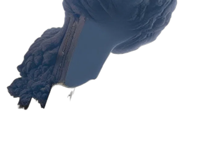 hat, hair, crown, mask transparent PNG cut-out