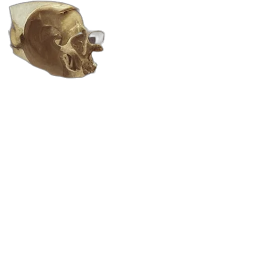 mask, jewelry, crown, hat transparent PNG cut-out
