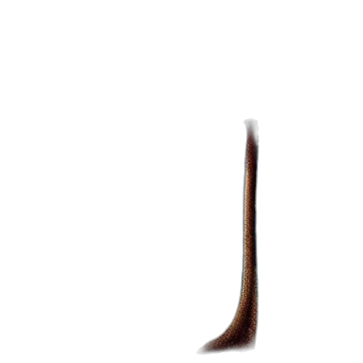 hair, staff, sword, weapon transparent PNG cut-out