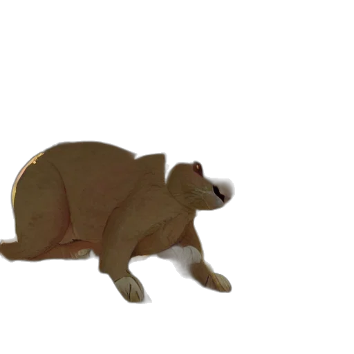 animal, creature, food, staff transparent PNG cut-out
