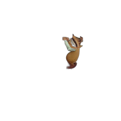 animal, creature, staff, food transparent PNG cut-out