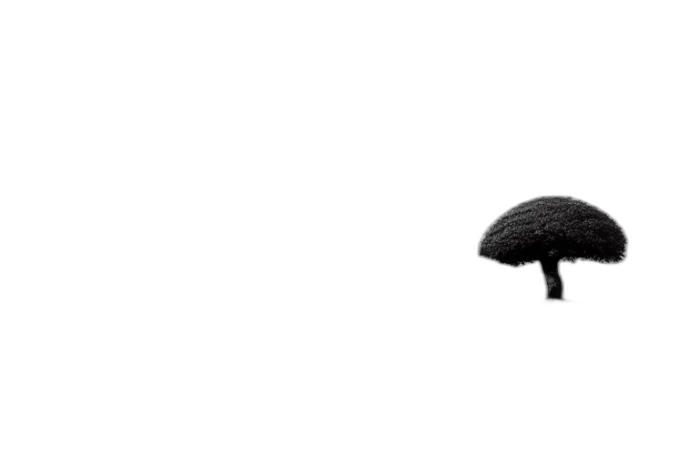 hat, umbrella, furniture, hair transparent PNG cut-out