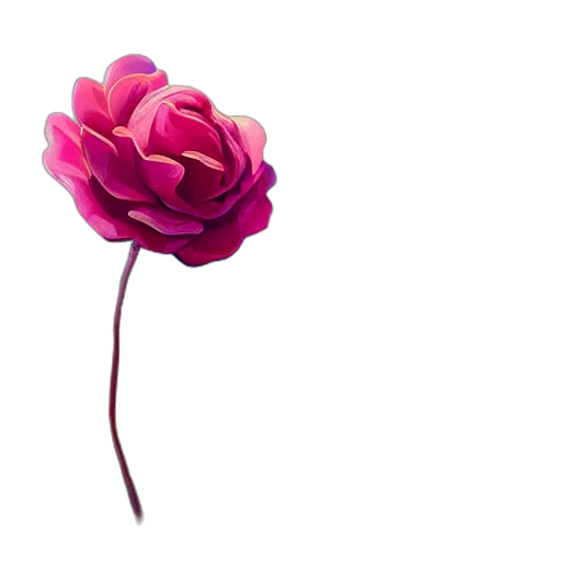 flower, crown, jewelry, hat transparent PNG cut-out